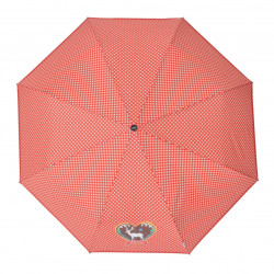 Mini Oberfesch - dámský skládací deštník