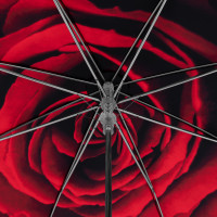 Elegance Růže- dámský luxusní deštník s potiskem růže