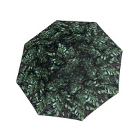 Fiber Flex Long AC Imperial Crystal Leaves - dámský holový vystřelovací deštník